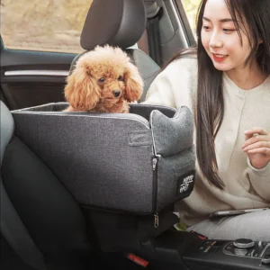 Pets